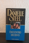 Encuentro decisivo (usado) - Danielle Stelle