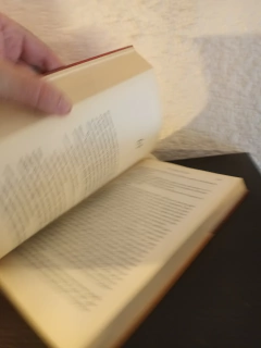 El codigo Da Vinci (DB) (usado) - Dan Brown en internet