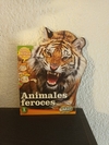 Animales Feroces (usado) - Billiken