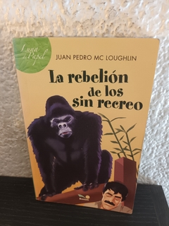 La rebelión de los sin recreo (usado) - Juan pedro MC Loughlin