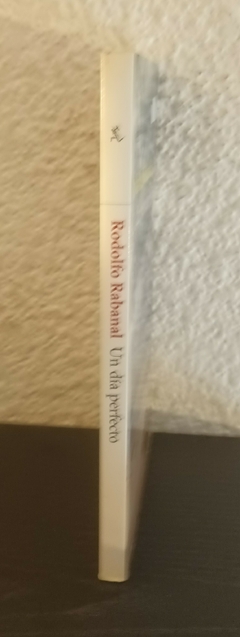 Un día perfecto (usado) - Rodolfo Rabanal - comprar online