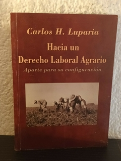 Hacia un Derecho Laboral Agrario (usado) - Carlos H. Luparia