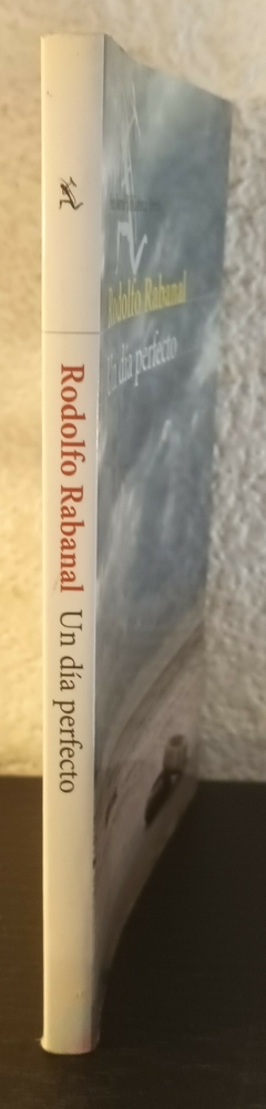 Un dia perfecto (usado, mancha en pie de pagina, no afecta la lectura) - Rodolfo Rabanal - comprar online