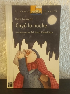 Cayó la noche (usado) - Malí Guzmán