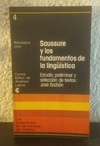 Saussure y los fundamentalistas de la lingüistica (usado) (4)