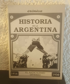 El radicalismo dividido (usado) - Historia De La Argentina