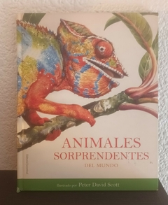 Animales sorprendentes del mundo (usado) - Peter David Scott