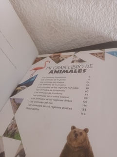 Mi gran libro de animales (usado, detalle en tapa) - Christine Baillet - Charlemosdelibros