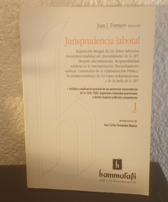 Jurisprudencia laboral 1 (usado) - Juan J. Formaro