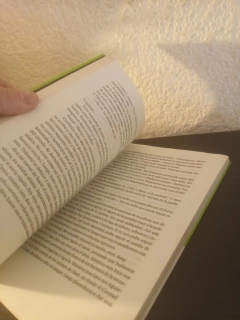 Buscando a Alaska (usado) - John Green en internet