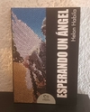 Esperando un ángel (usado) - Helon Habila