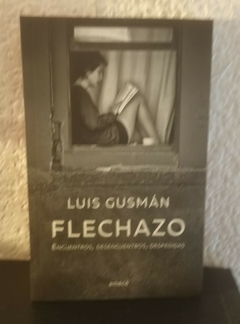 Flechazo (usado) - Luis Gusmán