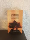 Aterrizado en una crisis muy común (usado) - Sebastián de Caro