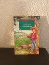 Aventuras de Tom Sawyer (usado) - Mark Twain (billiken)