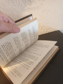 Las tentaciones de San Antonio (usado, dedicatoria) - Gustave Flaubert 34 en internet