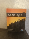 Sociología (usado, dos hojas con fluo) - Ken Plummer