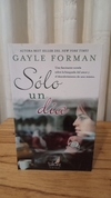 Sólo Un Día (usado) - Gayle Forman