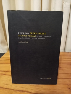 Peter Street (usado, bilingue) - Peter Sirr