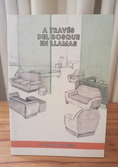 A través del bosque en llamas (usado) - Luciano Alonso