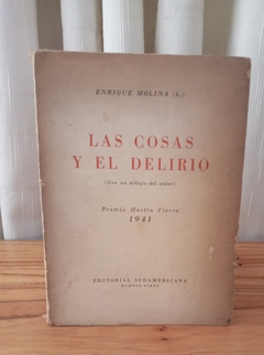 Las cosas y el delirio (usado) - Enrique Molina H