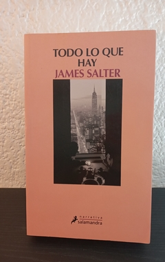 Todo lo que hay (usado) - James Salter