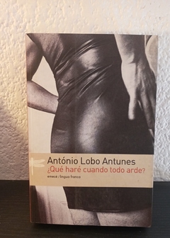 Qué haré cuando todo arde? (usado) - António Lobo Antunes