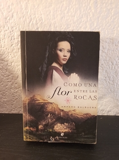 Como una flor entre las rocas (usado) - Amparo Balbuena