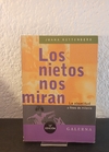 Los nietos nos miran (usado) - Juana Rottenberg