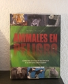 Animales en peligro (usado) - Willi Dolder