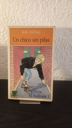 Un chico sin pilas (usado) - Seth McEvoy