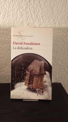 La delicadeza (usado) - David Foenkinos