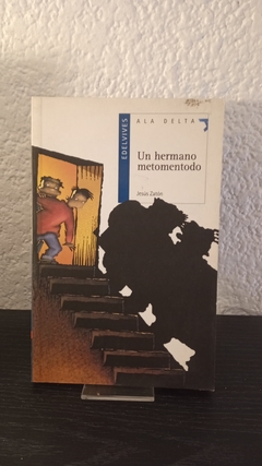 Un hermano metomentodo (usado) - Jesús Zatón