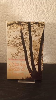 ¿Que hay despues de la muerte? (usado) - M. Basilea Schlink