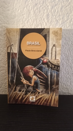 Brasil (usado) - Paula Brecciaroli