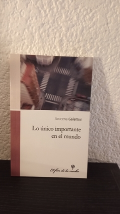 Lo unico importante en el mundo (usado) - Azucena Galettini