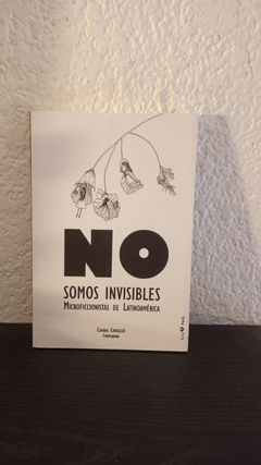 No somos invisibles (2021, usado) - Claudia Cortalezzi