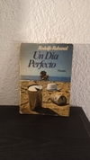 Un día perfecto (usado) - Diego Rabanal