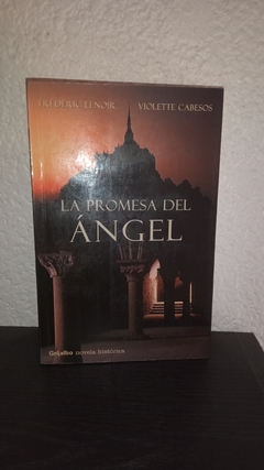 La promesa del ángel (2006) (usado) - Frédéric Lenoir