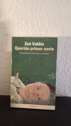 Querido primer novio (usado) - Zoé Valdés