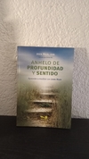 Anhelo de profundidad y sentido (usado, muy pocas marcas en lápiz) - John Main, OSB