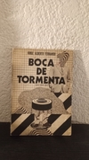 Boca de tormenta (usado) - Jorge Alberto Ferrando