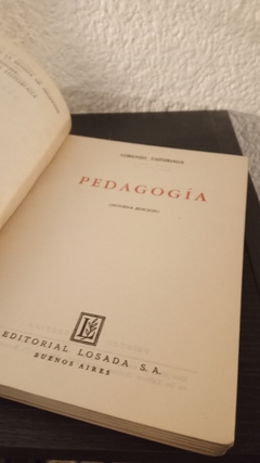 Pedagogía (usado, tapa rota despegada) - Lorenzo Luzuriaga en internet