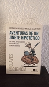 Aventuras de un jinete hipotético (usado) - Leonardo Moledo