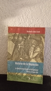 Historia de la depesión (usado, muy pocas marcas en fluo y lapiz) - Norberto Conti