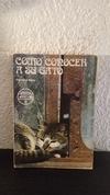 Como conocer a su gato (usado, despegado, completo) - Fernan Mery