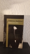 Errante en la sombra (usado) - Federico Andahazi