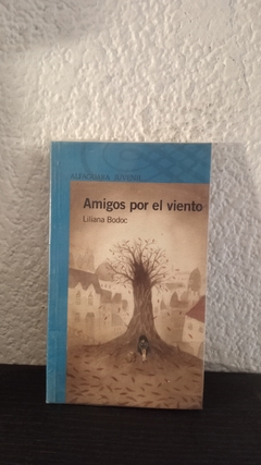 Amigos por el viento (usado, se mojo y se seco) - LiLiana Bodoc