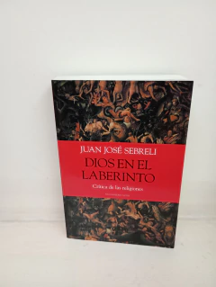 Dios en el laberinto (usado, recortes de diarios adjuntos, no afectan la lectura) - Juan José Sebreli