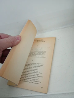 Una temporada en el infierno (usado) - Rimbaud - comprar online