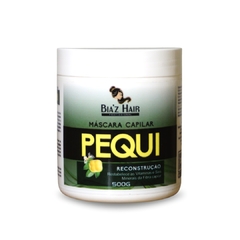HIDRATAÇAO PEQUI 500G BIAZ HAIR